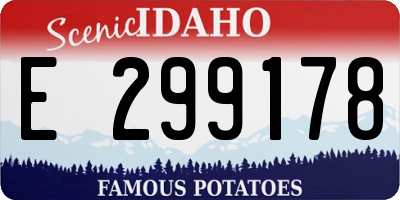 ID license plate E299178