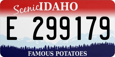 ID license plate E299179