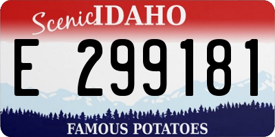 ID license plate E299181