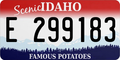 ID license plate E299183