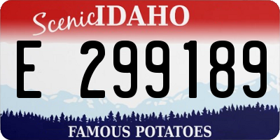 ID license plate E299189