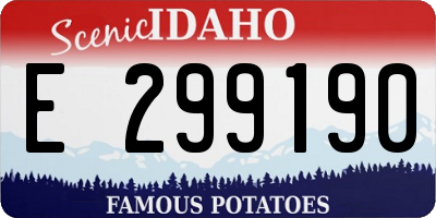 ID license plate E299190