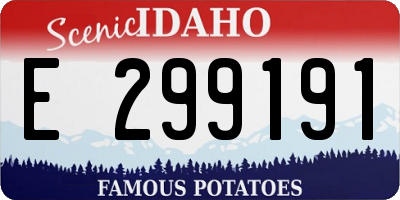 ID license plate E299191