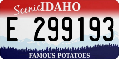 ID license plate E299193