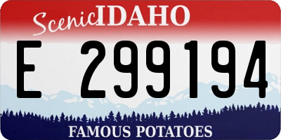 ID license plate E299194