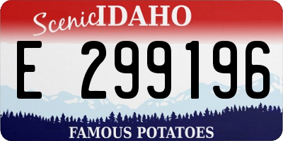 ID license plate E299196
