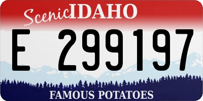 ID license plate E299197