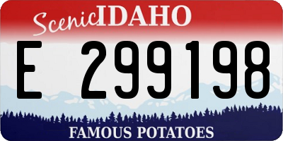 ID license plate E299198