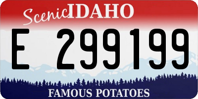 ID license plate E299199