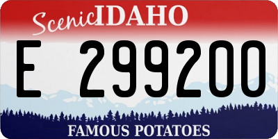 ID license plate E299200