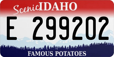 ID license plate E299202