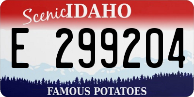 ID license plate E299204