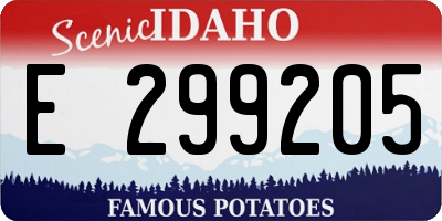 ID license plate E299205
