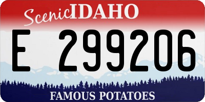 ID license plate E299206