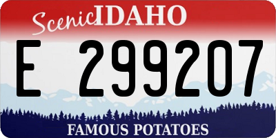 ID license plate E299207
