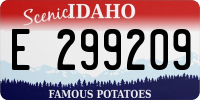 ID license plate E299209
