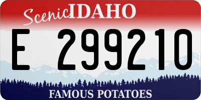 ID license plate E299210
