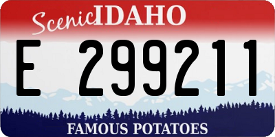 ID license plate E299211