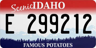 ID license plate E299212
