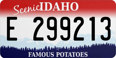 ID license plate E299213