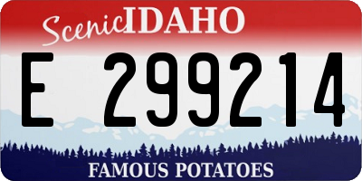 ID license plate E299214