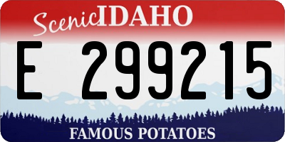 ID license plate E299215
