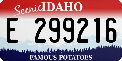 ID license plate E299216