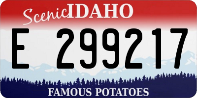 ID license plate E299217