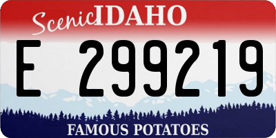 ID license plate E299219