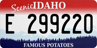 ID license plate E299220