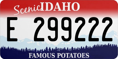 ID license plate E299222