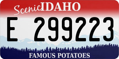 ID license plate E299223