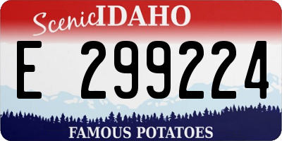 ID license plate E299224