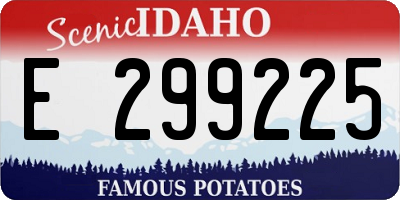 ID license plate E299225