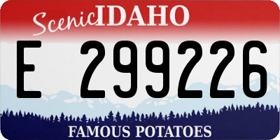 ID license plate E299226