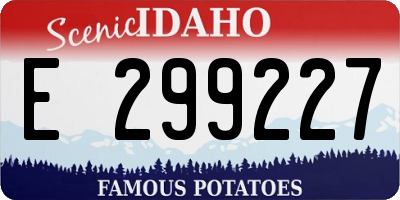 ID license plate E299227