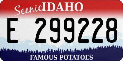 ID license plate E299228