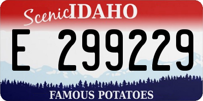 ID license plate E299229