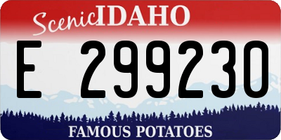 ID license plate E299230