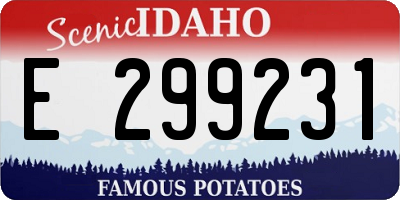 ID license plate E299231