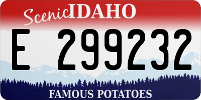 ID license plate E299232
