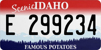 ID license plate E299234