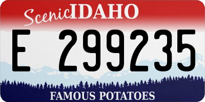 ID license plate E299235