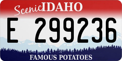 ID license plate E299236
