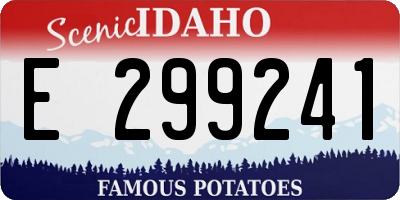 ID license plate E299241
