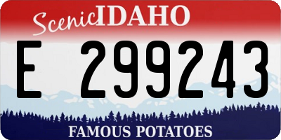 ID license plate E299243