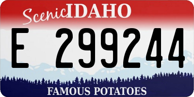 ID license plate E299244