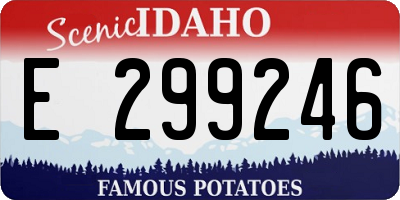 ID license plate E299246
