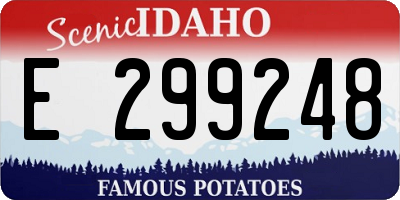 ID license plate E299248