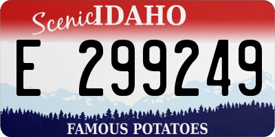 ID license plate E299249